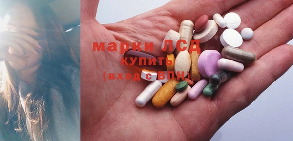дмт Магас