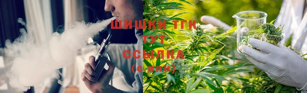 стафф Майский