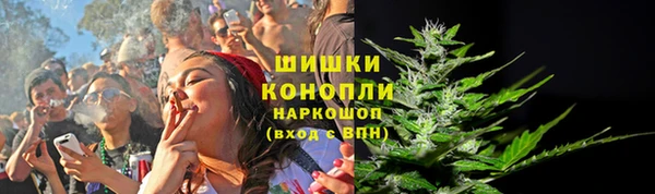 дмт Магас
