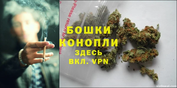 стафф Майский