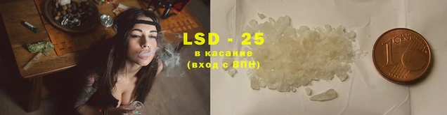 дмт Магас
