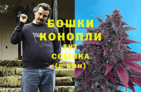 МДПВ Лиски