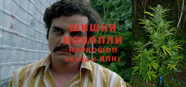 стафф Майский