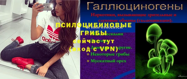 дмт Магас