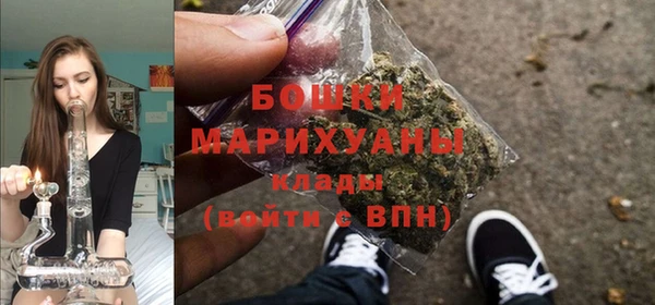 стафф Майский