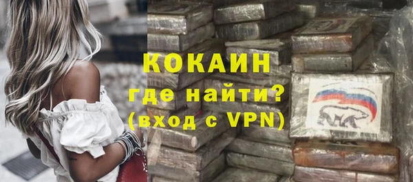 дмт Магас