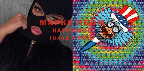стафф Майский