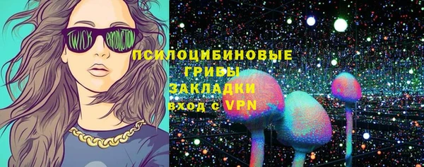 дмт Магас