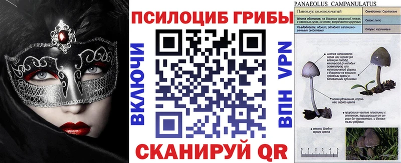 Галлюциногенные грибы Magic Shrooms  mega ТОР  Торопец 